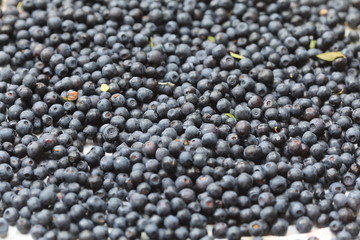 blueberry background