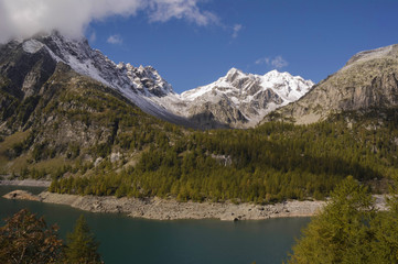 Fototapeta premium landscape