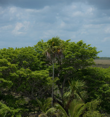 Fototapeta na wymiar Natural View of Beautiful Holbox in Mexico
