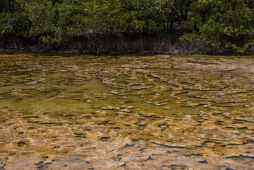 Natural View of Beautiful Holbox in Mexico