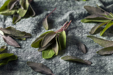Raw Organic Purple Sage