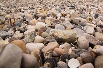 pebbles on beach