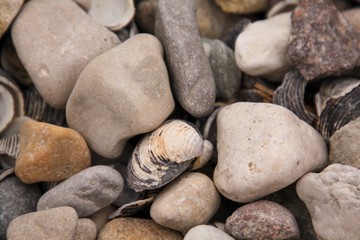 pebbles on the beach