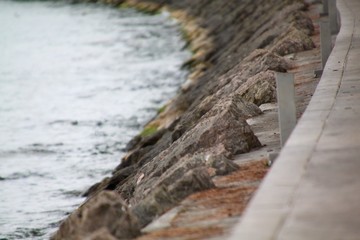 bridge over the river