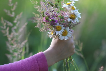 hand holding flowers, hand touching herbs and flowers, tender hand
