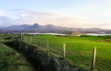 Green fields and barrens on the coast with mountains range in a distance, Wiled Atlantic Way