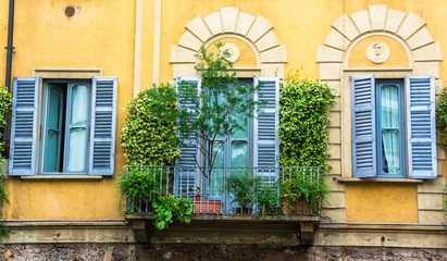 Fototapeta na wymiar ivy covered windows