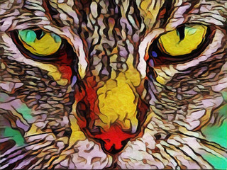 Close up cat - illustrated