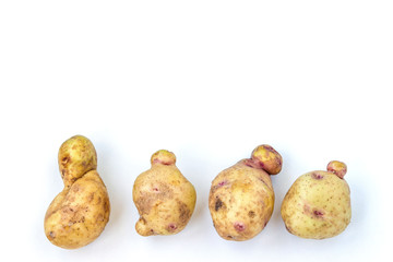 Ugly organic abnormal vegetables - potatoes, Copy space, Concept organic vegetables