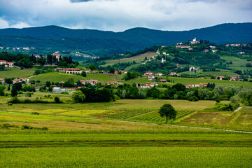 Obraz premium vineyards of collio