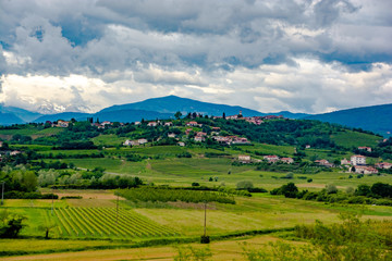 Fototapeta premium vineyards of collio