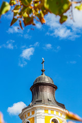Gull on the cross of the Greek-Catholic Cathedral, Catedrala Schimbarea la Fata bell tower at Cluj-Napoca, Romania, exterior partial view behind blurred lime tree leaves