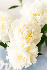 Bunch of amazing peonies in the vase