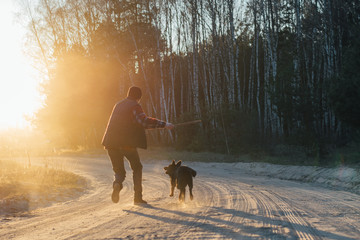 man with active happy black dog playing on the road forest park during sunset or sunrise