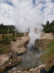 Steam and hot water sloshes out of the famous Dragon's Mouth Spring, one of the popular attractions at Yellowstone National Park.