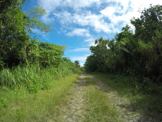Rota landscape, Northern Mariana Islands