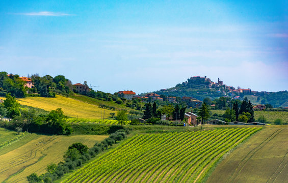 Abruzzo Vineyards