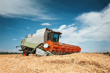 Fototapeta premium Combine harvester close-up, harvesting wheat in the field. Beautiful, bright, natural landscape with colorful sky. The concept of work in agriculture in the open air.