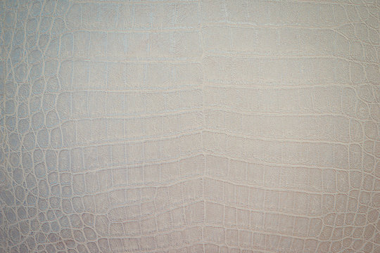 Texture of python skin close-up. Snake or crocodile skin painted in a light color. 