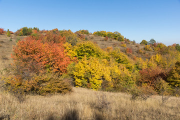 Autumn view of Cherna Gora mountain, Bulgaria