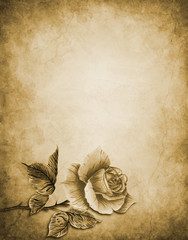 Watercolor with one vintage rose in retro style in sepia monochrome