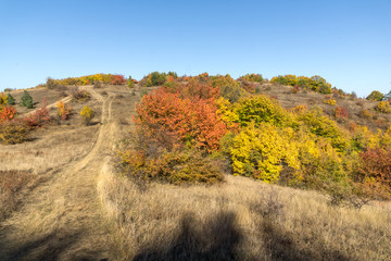 Autumn view of Cherna Gora mountain, Bulgaria