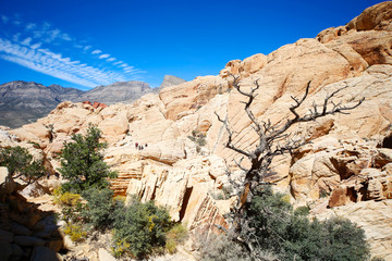 Rock Formations in Red Rock Canyon, Nevada, USA