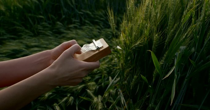 woman is playing on kalimba oldest musical instrument, close-up hands in background of green field
