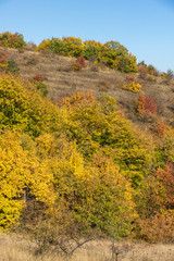 Autumn view of Cherna Gora mountain, Bulgaria