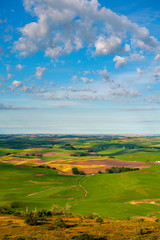 Beautiful Farmland Patterns Seen From Steptoe Butte, Washington. High above the Palouse Hills on the eastern edge of Washington, Steptoe Butte offers unparalleled views of a truly unique landscape.