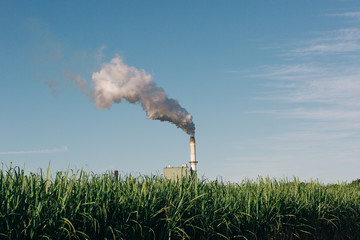 smoke from chimney