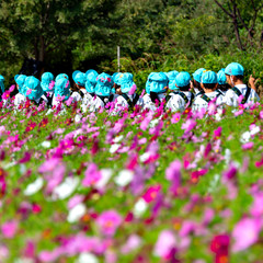 Excursion of kindergarten children with blue cap in cosmos park