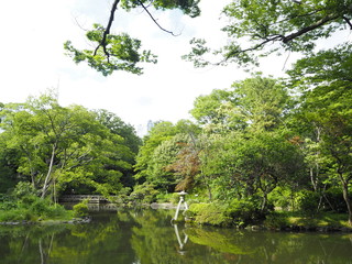  Arisugawanomiyakinen Park in Tokyo Japan