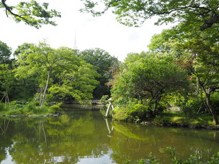 Obraz premium Arisugawanomiyakinen Park in Tokyo Japan