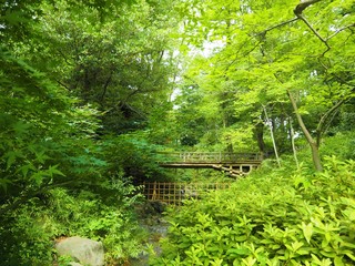 Obraz premium Arisugawanomiyakinen Park in Tokyo Japan