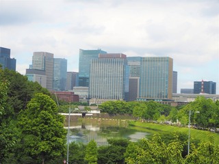 the park in big city Tokyo