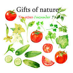 Tomatoes    cucumbers   on white and black background.