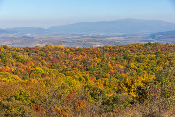 Autumn view of Cherna Gora mountain, Bulgaria