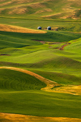 Beautiful Farmland Patterns Seen From Steptoe Butte, Washington. High above the Palouse Hills on the eastern edge of Washington, Steptoe Butte offers unparalleled views of a truly unique landscape.