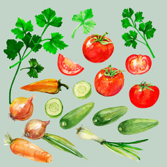 Tomatoes   Parsley   Pattern on white and black background.