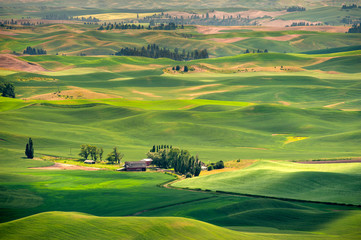Beautiful Farmland Patterns Seen From Steptoe Butte, Washington. High above the Palouse Hills on...