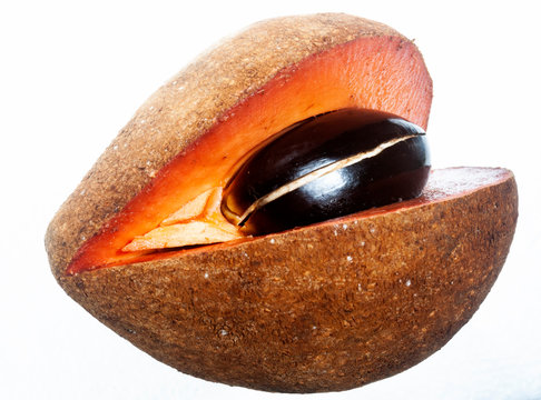 zapote, Pouteria sapota, detail cut fruit with exposed seed on white background, tropical fruit in Guatemala,