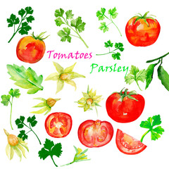 Tomatoes    Pattern on white and black background.