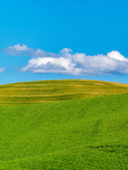 Farm Land Along Palouse Washington