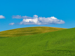 Farm Land Along Palouse Washington