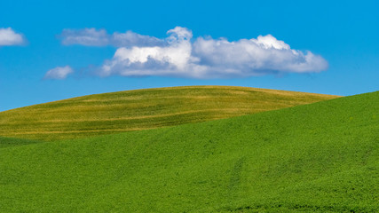 Obraz premium Farm Land Along Palouse Washington