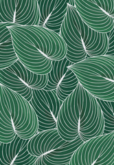 seamless pattern with leaves
