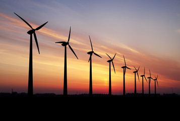 Wind farm at sunset.