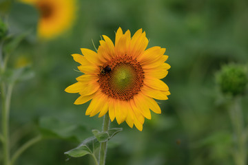 CUMMING, GA - JULY 10:    (Photo by David J. Griffin)