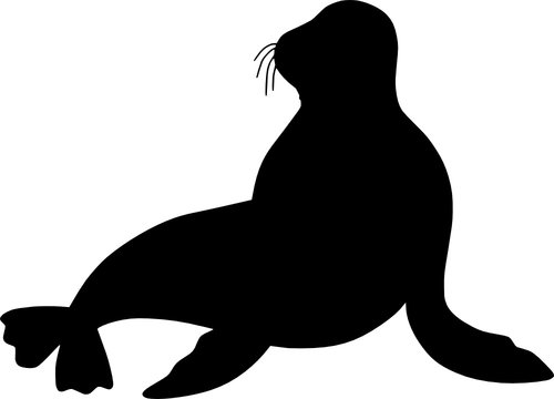 Sea Lion Silhouette